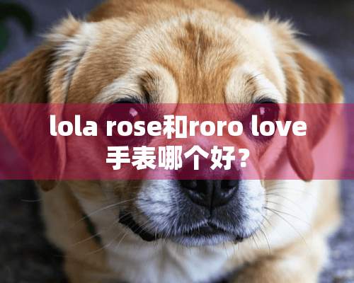 lola rose和roro love手表哪个好？