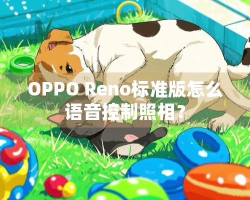 OPPO Reno标准版怎么语音控制照相？