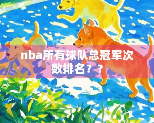 nba所有球队总冠军次数排名？？