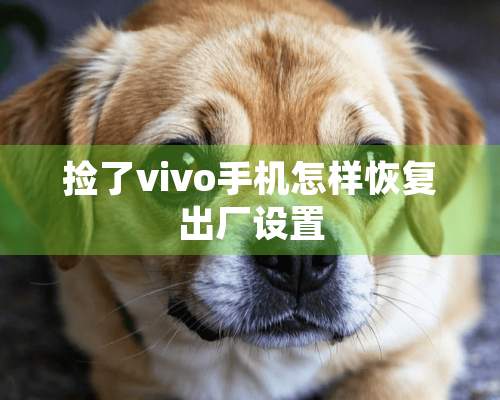 捡了vivo手机怎样恢复出厂设置