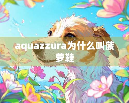 aquazzura为什么叫菠萝鞋