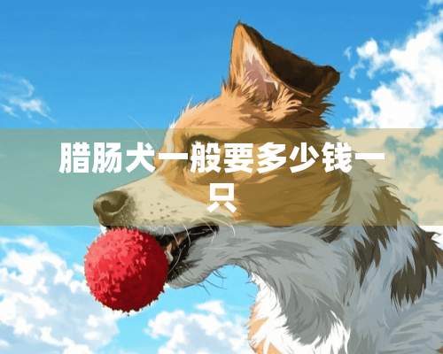 腊肠犬一般要多少钱一只