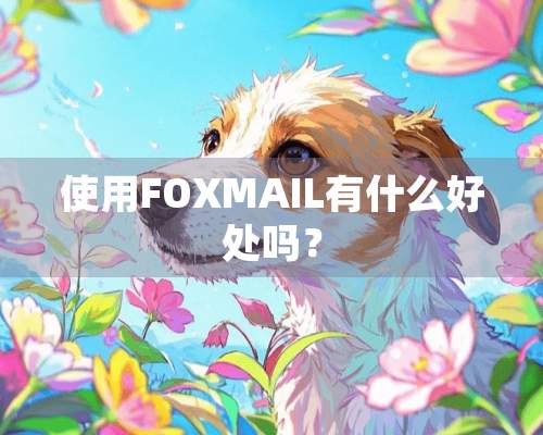 使用FOXMAIL有什么好处吗？