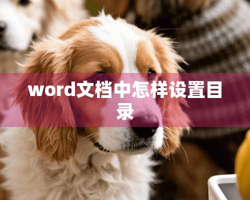 word文档中怎样设置目录