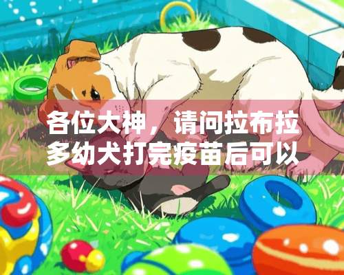 各位大神，请问拉布拉多幼犬打完疫苗后可以同时给它吃驱虫药吗？