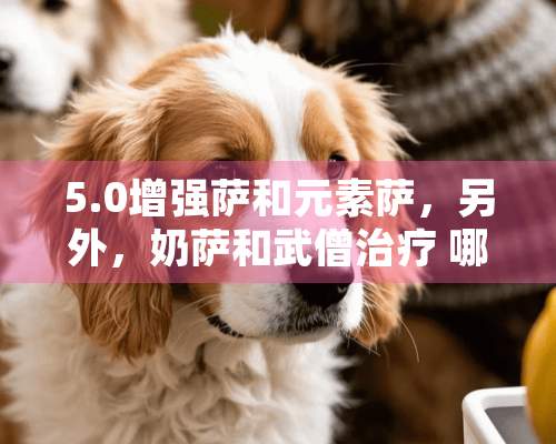 5.0增强萨和元素萨，另外，奶萨和武僧治疗 哪个给力？