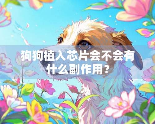 狗狗植入芯片会不会有什么副作用？