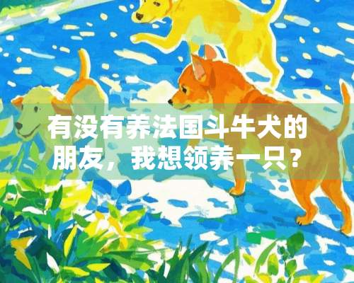 有没有养法国斗牛犬的朋友，我想领养一只？