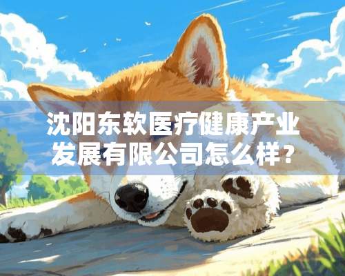 沈阳东软医疗健康产业发展有限公司怎么样？