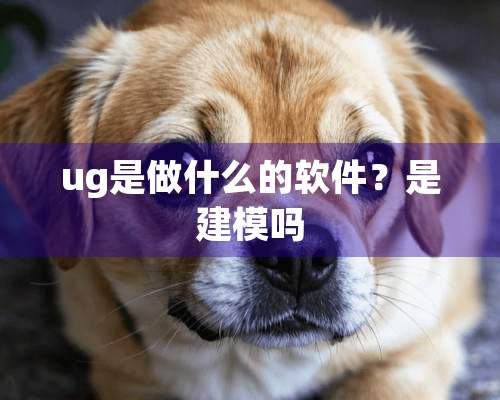 ug是做什么的软件？是建模吗