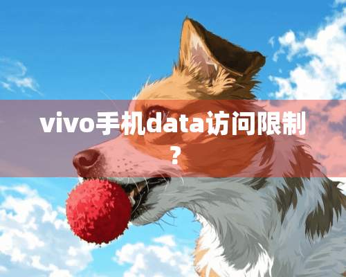 vivo手机data访问限制？