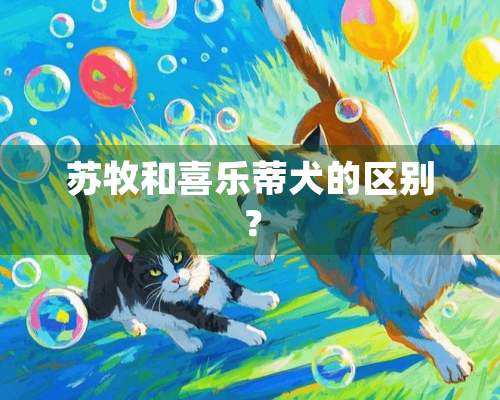 苏牧和喜乐蒂犬的区别？