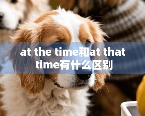 at the time和at that time有什么区别