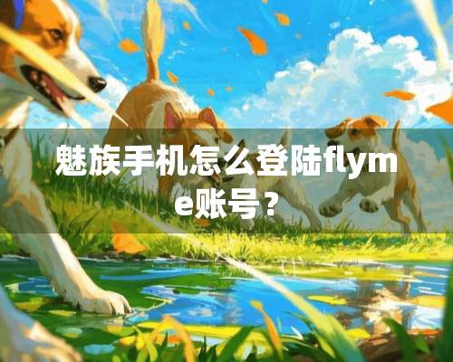 魅族手机怎么**flyme账号？