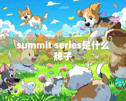 summit series是什么牌子