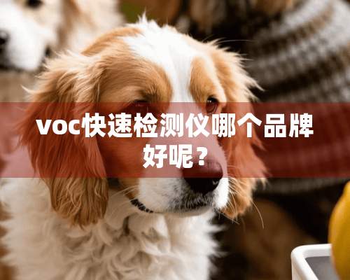 voc快速检测仪哪个品牌好呢？