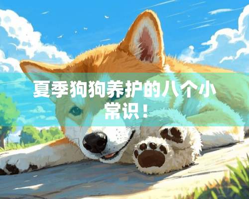 夏季狗狗养护的八个小常识！