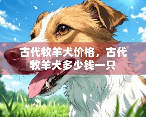 古代牧羊犬价格，古代牧羊犬多少钱一只