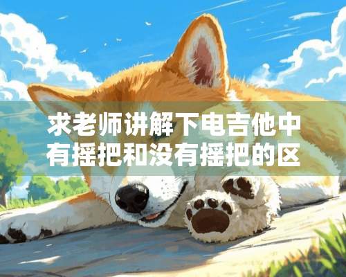 求老师讲解下电吉他中有摇把和没有摇把的区别