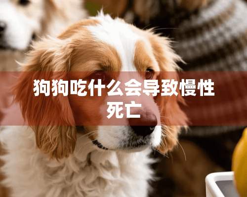 狗狗吃什么会导致慢性死亡