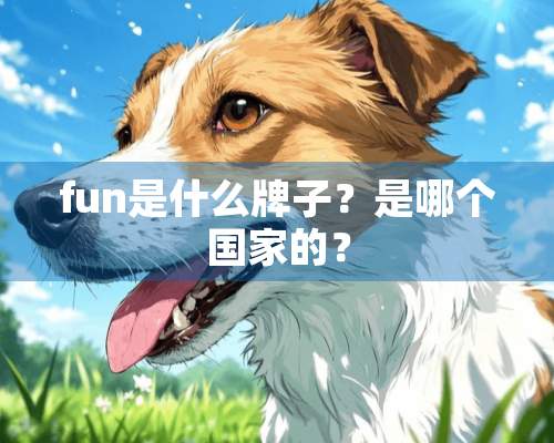 fun是什么牌子？是哪个国家的？