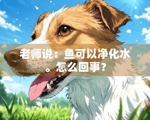 老师说：鱼可以净化水。怎么回事？