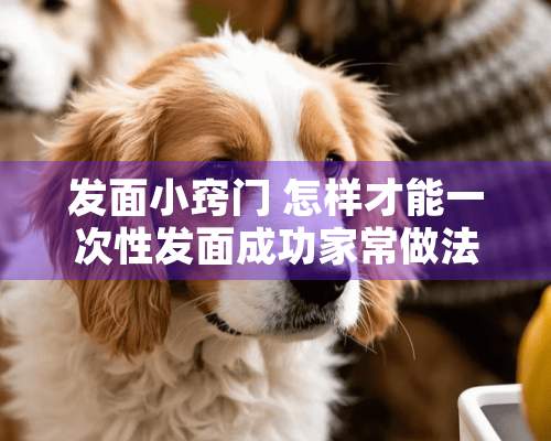 发面小窍门 怎样才能一次性发面成功家常做法大全