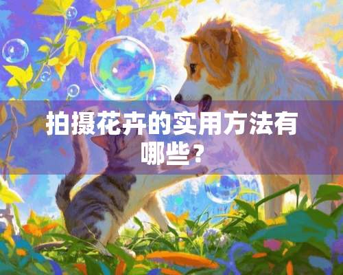 拍摄花卉的实用方法有哪些？