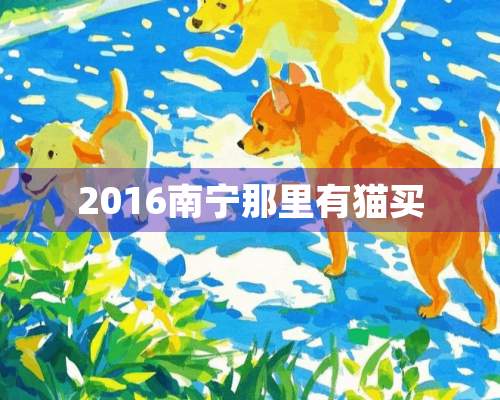 2016南宁那里有猫买