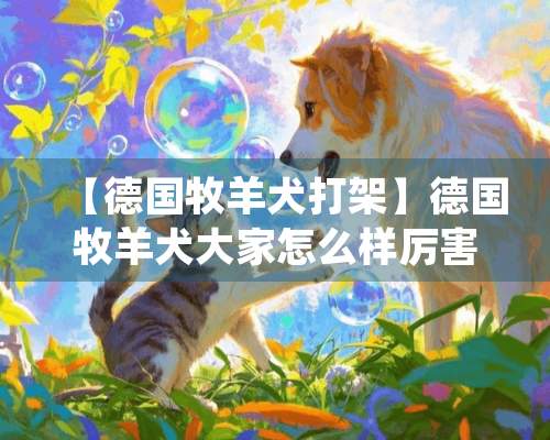 【德国牧羊犬打架】德国牧羊犬大家怎么样厉害吗