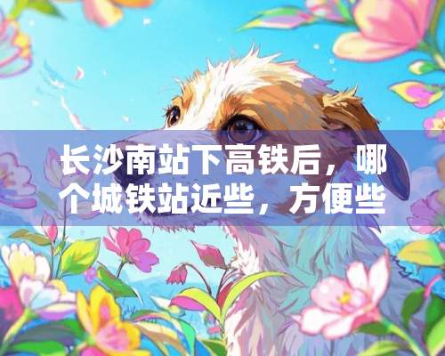 长沙南站下高铁后，哪个城铁站近些，方便些