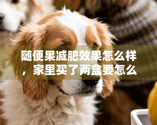 随便果减肥效果怎么样，家里买了两盒要怎么吃，有没有副作用？