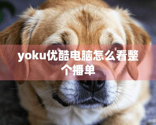 yoku优酷电脑怎么看整个播单