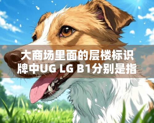 大商场里面的层楼标识牌中UG LG B1分别是指什么？