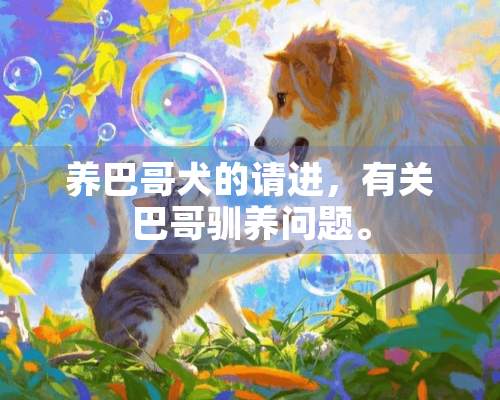 养巴哥犬的请进，有关巴哥驯养问题。