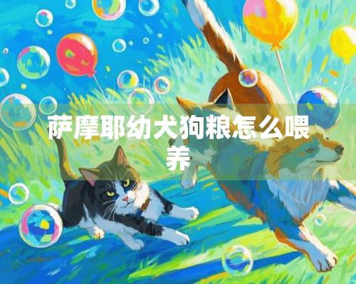 萨摩耶幼犬狗粮怎么喂养