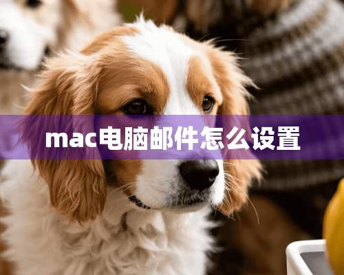 mac电脑邮件怎么设置