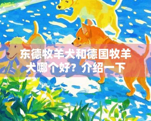 东德牧羊犬和德国牧羊犬哪个好？介绍一下