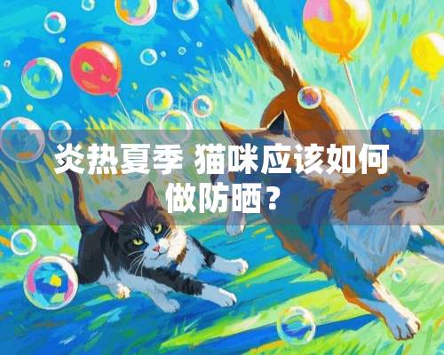 炎热夏季 猫咪应该如何做防晒？