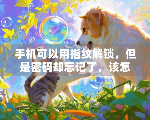 手机可以用指纹解锁，但是密码却忘记了，该怎么办？