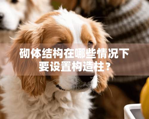 砌体结构在哪些情况下要设置构造柱？