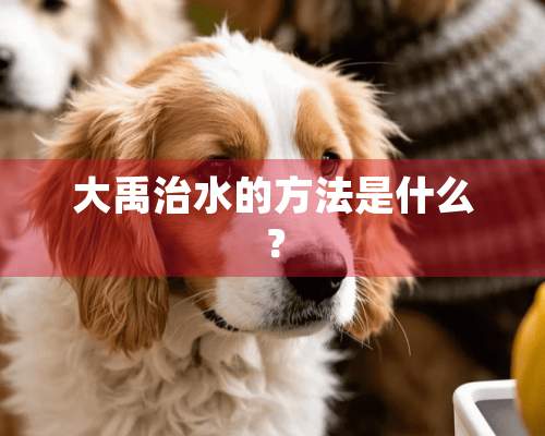 大禹治水的方法是什么？