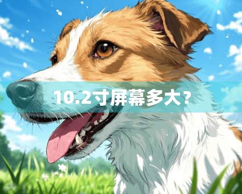 10.2寸屏幕多大？