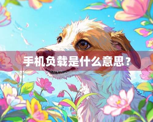 手机负载是什么意思？