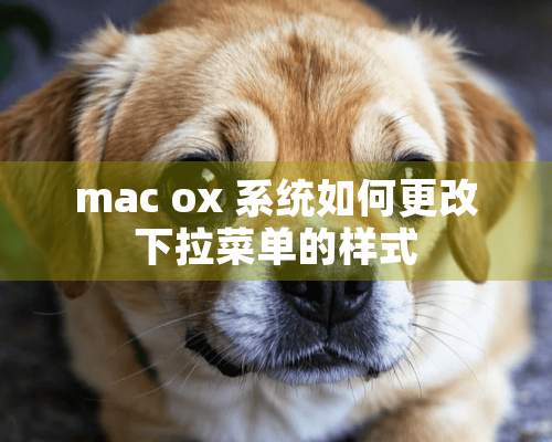 mac ox 系统如何更改下拉菜单的样式