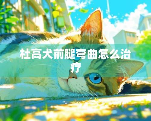 杜高犬前腿弯曲怎么治疗