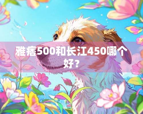 雅痞500和长江450哪个好？