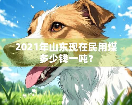 2021年山东现在民用煤多少钱一吨？