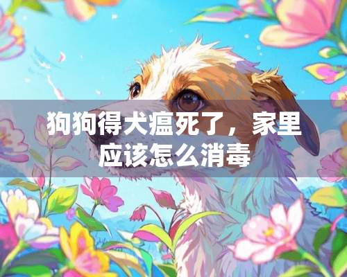 狗狗得犬瘟死了，家里应该怎么消毒