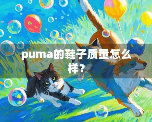 puma的鞋子质量怎么样？